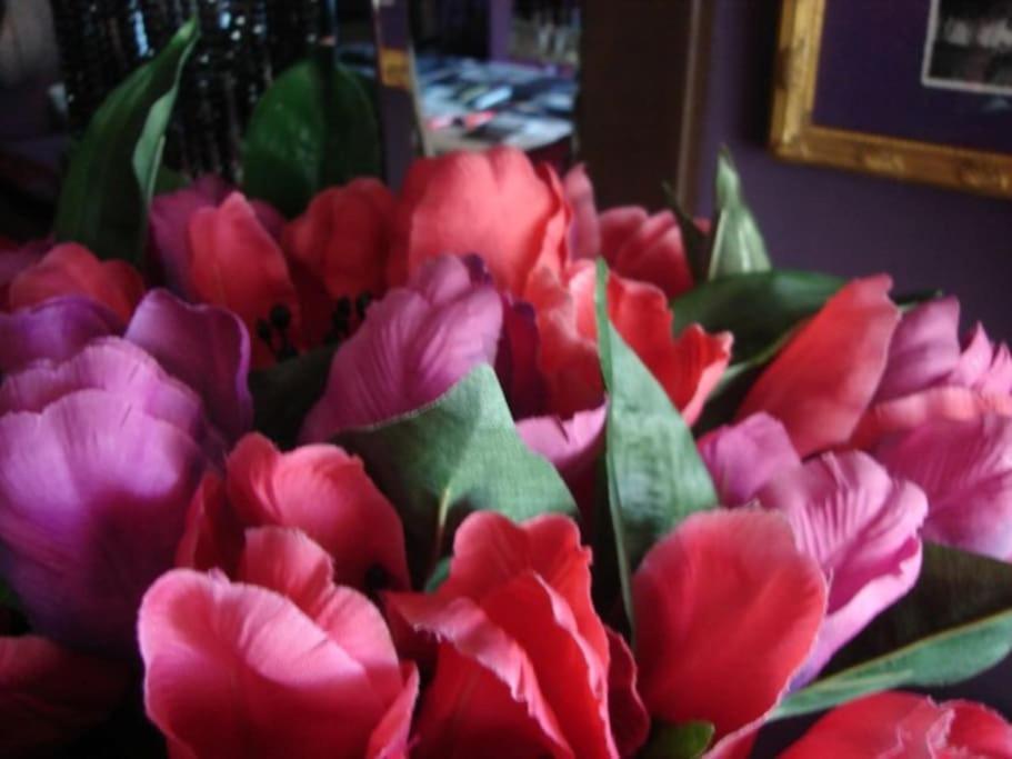 Morada Das Flores Porto Alegre Exterior photo